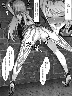 [えるう] ヒカリ (ゼノブレイド2) [❤×真不可视汉化组]_04