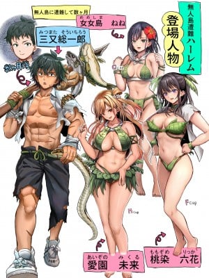 [ホケキヨカーニバル] 無人島遭難ハーレム [DL版]_003