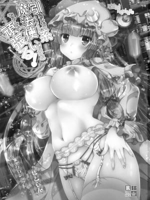 (例大祭13) [せとらん (イトウせと、タンノらん)] 引きこもり系魔法使いだけどちゃんと頑張る! (東方Project) [甜族星人x我不看本子个人汉化]_03
