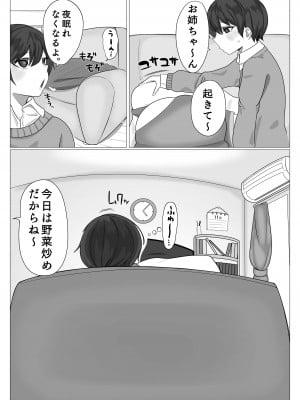 [まんぼう書店] 姉弟がめちゃくちゃセックスするお話_05