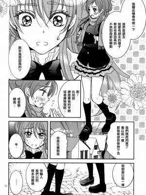 [倒在麦田吧汉化] (C83) [チェリームーン (圭島瞬里)] ときめきのプレリュード (スイートプリキュア♪)_11