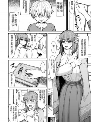 [キレイナブタ (ぶたちゃんぐ)] 異世界の女たち6.0｜異世界的女人們6.0   [中文] [RX]_005