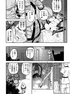 [ガジェット工房 (A-10)] ドラゴンクエストXXX (ドラゴンクエスト) [DL版]_34