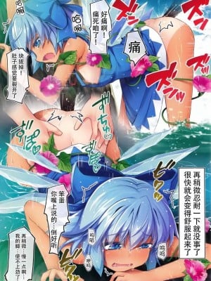 (C93) [あばらんち (チマQ)] 夏しちゃってる (東方Project) [迷途竹林漢化]_09