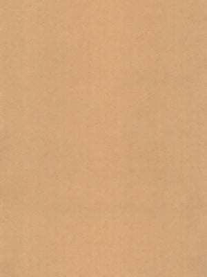 (C104) [平成茶々丸堂 (N.O-茶々丸)] 母愛が過ぎる息子の為に_03