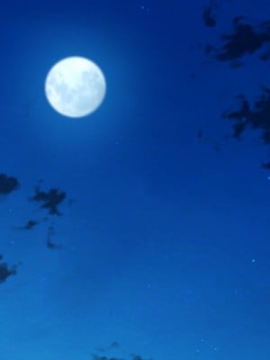 (同人CG集) [雨照月影] おバカで優しい褐色ギャルを、勢いで孕ませてしまった俺が愛妻バカになった理由_175_J_174