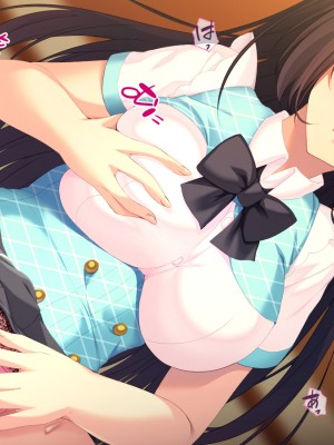(同人CG集) [TGA]【露出狂】オナる少女_003