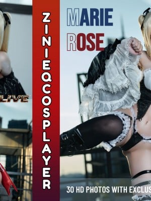ZinieQ - Marie Rose Sakimichan art Hentai Comics