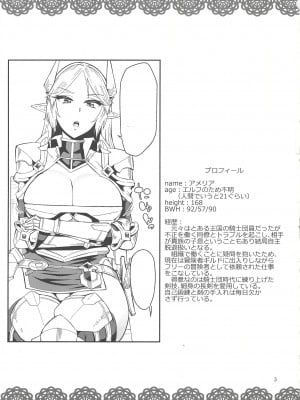 (C88) [折口ヒラタ (Surface Tension)] エルフの騎士 アメリア_03