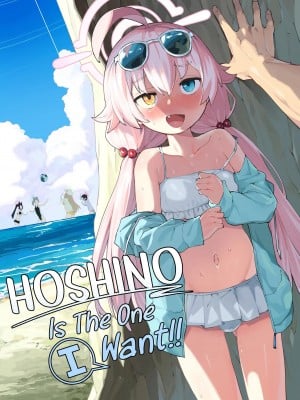 [半里プラザー (半里バード)] ホシノがいいんだよ!! (ブルーアーカイブ) [英訳] [無修正]