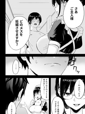 [わとそん堂] Sランク遺伝子認定されたので、優秀な子供を作るためメイドに中出しして妊娠させる話。_11