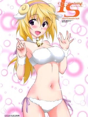 [剥ぎコラ] IS 〈インフィニット・ストラトス〉-1280x_65_53_3