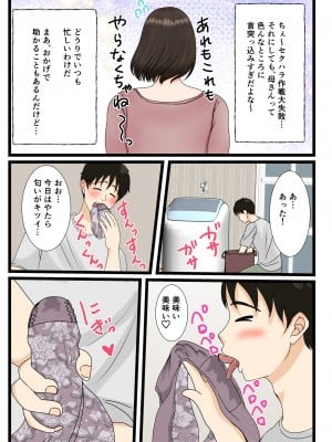 [べにー研究所 (べにサイロ)] 大庭さんちのお母さん～息子のわがままに従順な日常～_09
