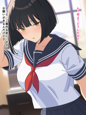 (同人CG集) [ぴゅあ☆ほたる] 何でも言う事を聞いてくれる姉_025