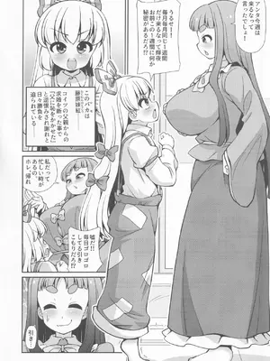 [魔導資料室 (嵐-D-悪鬼羅、佐々木てろん、emina)] I2 (東方Project)_03