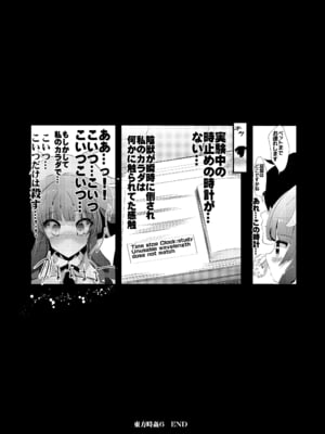 [背徳漢 (背徳漢)] 東方時姦総集編2 (東方Project)_020