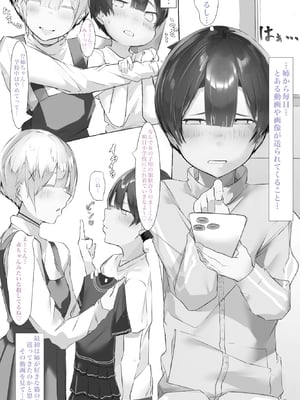 [ミントのちっちゃいお穴 (ミント・ムッツリーニ)] お姉ちゃんはみるく味 (オリジナル)_07__3