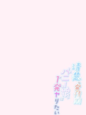 (C105) [きのこのみ (kino)] 清楚な発情期バニー娘は1発ヤりたい_007
