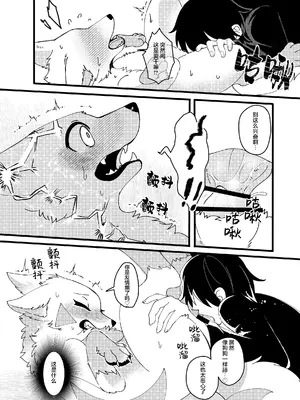 [Lomelette (らっしー)] メスガキ名犬をもう一度わからせたい｜想让雌小鬼謎犬再次明白 [DL版] [海豚之涌众筹汉化]_09