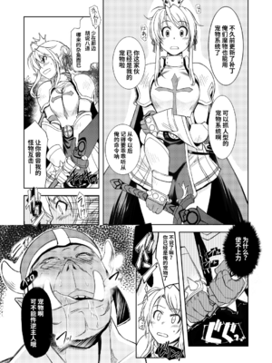 [Xration (mil)] 姫騎士テイム 1-3+姫騎士テイム 補 (ラグナロクオンライン) [中国翻訳]_005