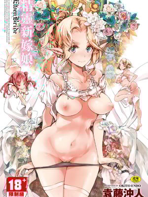 [袁藤沖人] エルフの嫁入り｜精靈新嫁娘 [中国翻訳] [DL版]