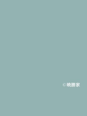 [暁勝家ノサークル (暁勝家)] GIRL SPY MISSION (SPY×FAMILY) [DL版] [咸鱼机翻汉化]_24
