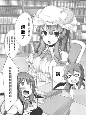 (秋季例大祭5) [まめもち (佑樹)] パチュこあ主従逆転ックス (東方Project) [Nonothird个人汉化]_05