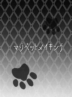 (C105) [どこかのよすみ (隅々四隅)] マゾペットメイキング+ペーパー (ポケットモンスター ブラック2・ホワイト2) [中国翻訳]_03