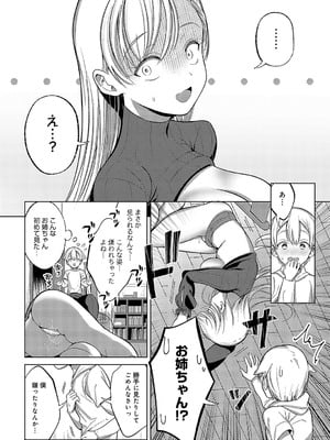 [かふぇいん中毒] お姉ちゃんと僕の内緒_381