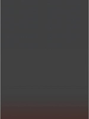 掠奪行動 37-38話_38_12