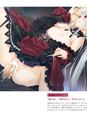 (画集) 美少女万華鏡-八宝備仁アートワークス 上_a038