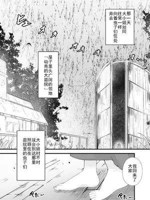 [Gura Craft] お嬢様と蟲のえっちな体験談｜大小姐与虫子交配的体验讲谈 [翠星石汉化]_05