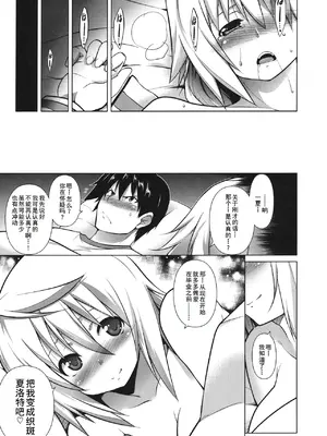 (C80) [STUDIO TIAMAT (TANABE)] 略してIS (IS＜インフィニット・ストラトス＞) [廉价汉化组]_25