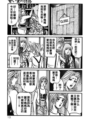 [エンジ]熟女丽子甘い蜜の诱惑[中国翻訳]_012