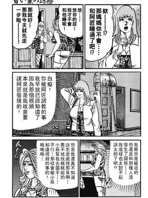 [エンジ]熟女丽子甘い蜜の诱惑[中国翻訳]_052