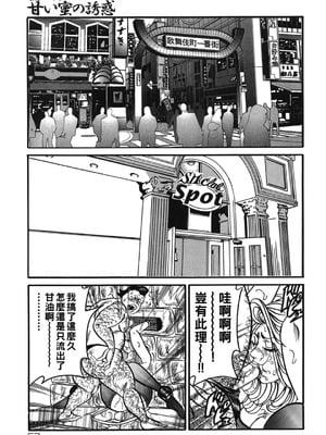 [エンジ]熟女丽子甘い蜜の诱惑[中国翻訳]_056