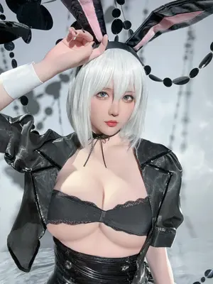 星之迟迟 - 25年3月计划C 尼尔：机械纪元 2B 兔女郎_34