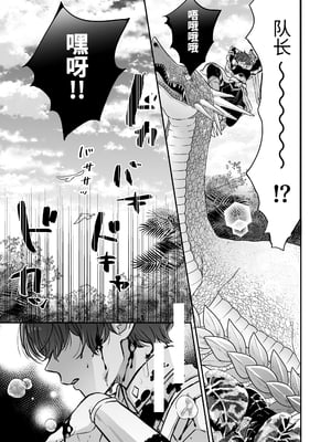 [豆腐ピザ丸 (豆腐ピザ丸)] マモノ狩りの隊長はナマイキ部下と仲良くしたい! [中国翻译]_004