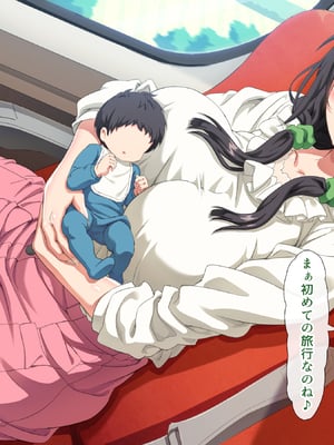 (同人CG集) [北極ホタル] 僕は大好きなお母さんを孕ませたい。3_0011