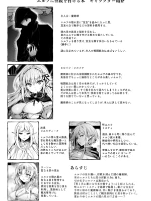 [にのこや (にの子)] エルフに淫紋を付ける本 LEVEL：8 [DL版]_02