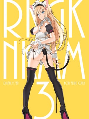 [Digital Flyer (大田優一)] RKGKNKMM3 [DL版]