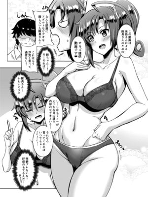 醤油の里 (霧島鮎)] アーバン流.mp4 (アリス・ギア・アイギス) [DL版]_04_hkop