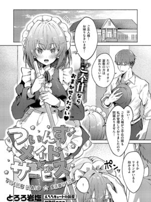 [とろろ岩塩] ついんずメイド★サービス